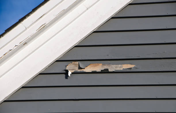 Best Steel Siding Installation  in Tinton Falls, NJ