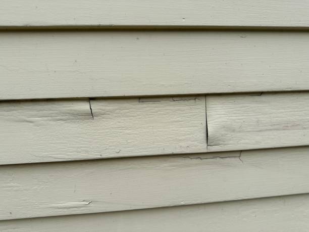 Best Siding for New Construction  in Tinton Falls, NJ